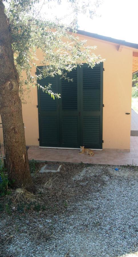 Agriturismo Ardizio 43 Pesaro Eksteriør billede
