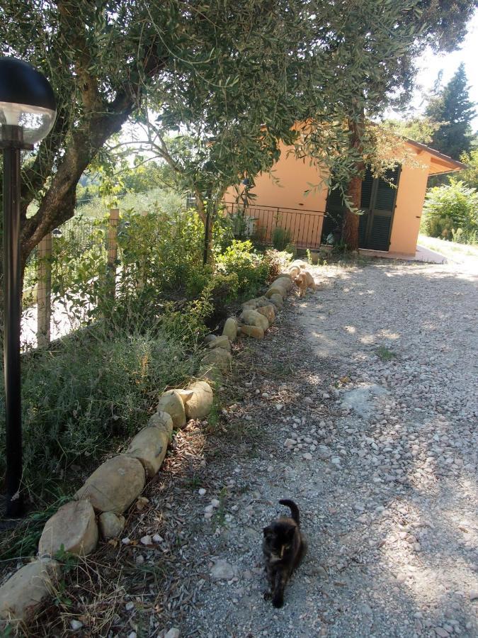 Agriturismo Ardizio 43 Pesaro Eksteriør billede