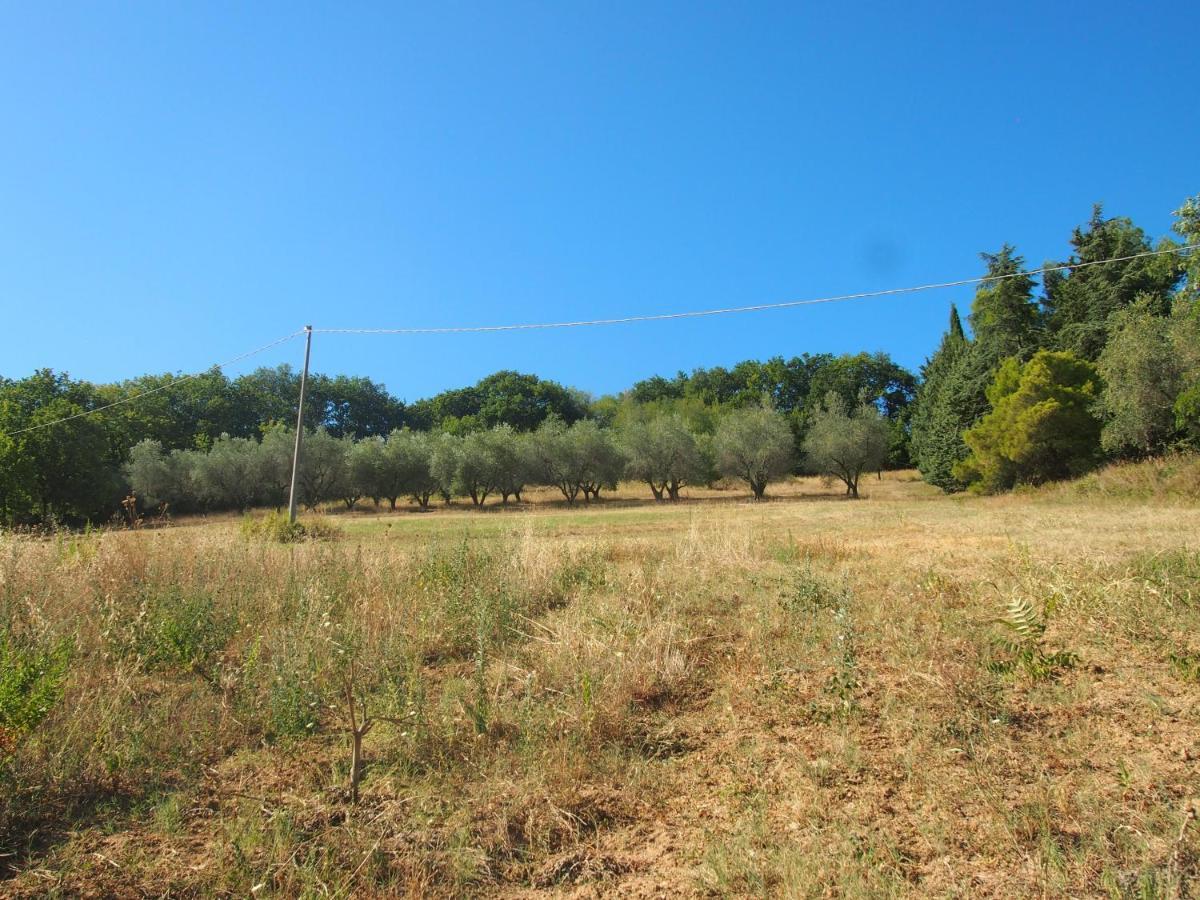 Agriturismo Ardizio 43 Pesaro Eksteriør billede