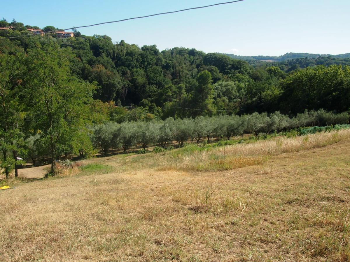 Agriturismo Ardizio 43 Pesaro Eksteriør billede